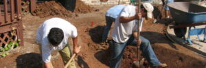 pond excavation