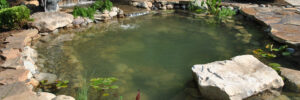 A small backyard pond with clear water, surrounded by rocks, plants, and a statue near a waterfall feature.