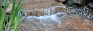Small stream of water flowing over rocks and pebbles, with green plants growing on the left side.