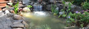 Pond Repair Services New Jersey