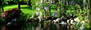 Garden pond with rocks, flowers, wooden bridge under wisteria; water garden cleaning service NJ info and business name overlaid.