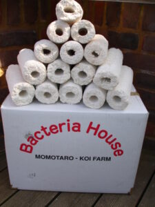 bacteria house media bacteria house media new jersey pond