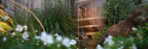 A wooden barrel with a spout collects rainwater, pouring into a garden pond—perfect for rainwater harvesting New Jersey.