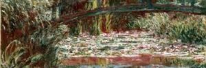 monets water lily new jersey