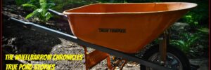 An orange wheelbarrow labeled "True Temper" stands on dirt; yellow text reads "The Great Egret" and story credits.