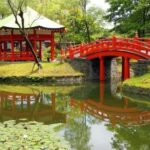new jersey japanese pond design koi pond new jersey
