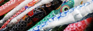 Colorful koi-shaped windsocks hang in a row, like pond resolutions in 2013, for Japan’s Children's Day celebrations.