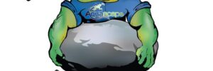 Cartoon frog in a blue Aquascape shirt lifts a boulder; text reads "Pondemonium 2013, Fit for the Fight, The Pond Guy.