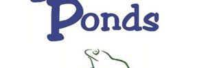 Premier Ponds logo with blue text, a green-outlined frog, and a nod to water gardens NJ by Steve Shinholser.