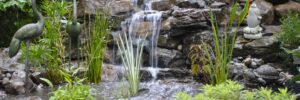 A small waterfall flows over rocks into a pond, with lush plants—ideal for those who value expert pond maintenance.
