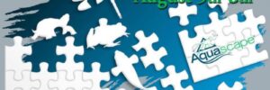 Pondemonium 2015 event poster, August 5-8, Aquascape, with ponds puzzle pieces and aquatic animal silhouettes.