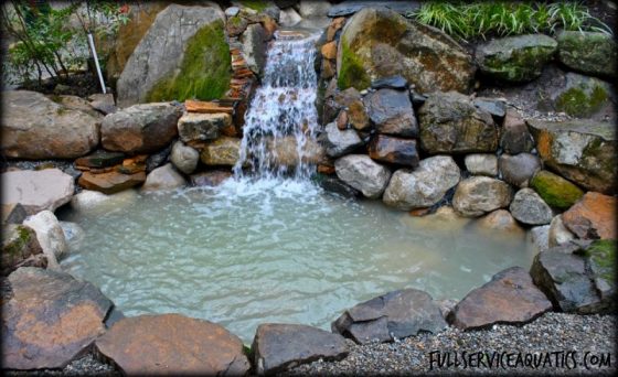 koi pond water garden Princeton New Jersey