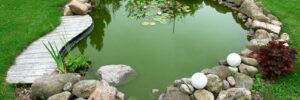 Koi Pond spring cleaning