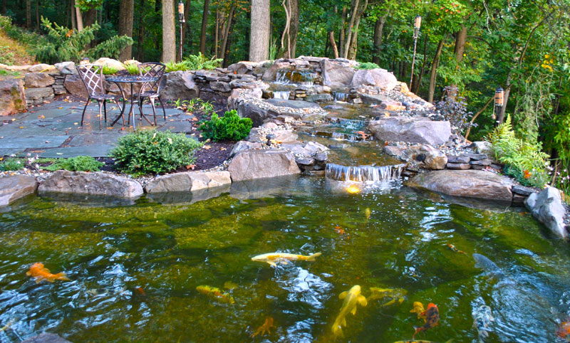 A koi pond with a small waterfall, surrounded by rocks, plants, and a patio table with two chairs in a wooded area.