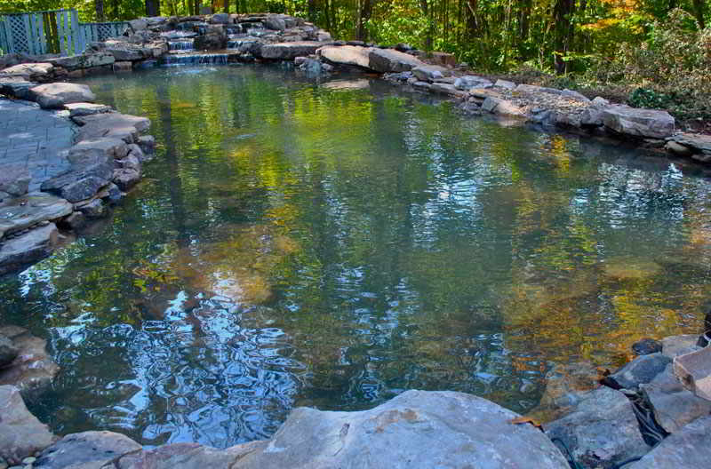 A natural swimming pond surrounded by rocks and trees, with still water reflecting greenery.