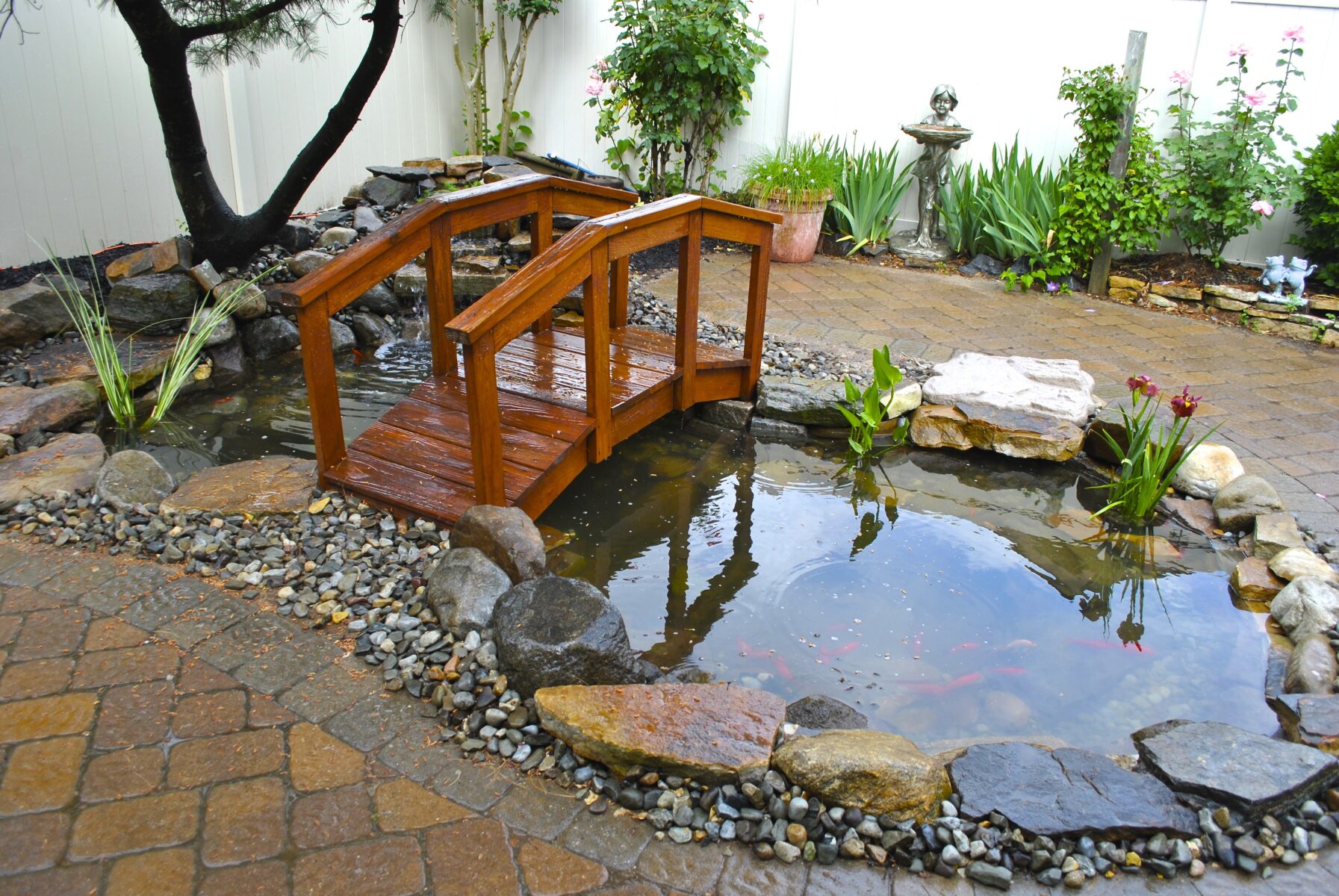 Small wooden bridge over a backyard pond surrounded by rocks, plants, and a paved patio area.