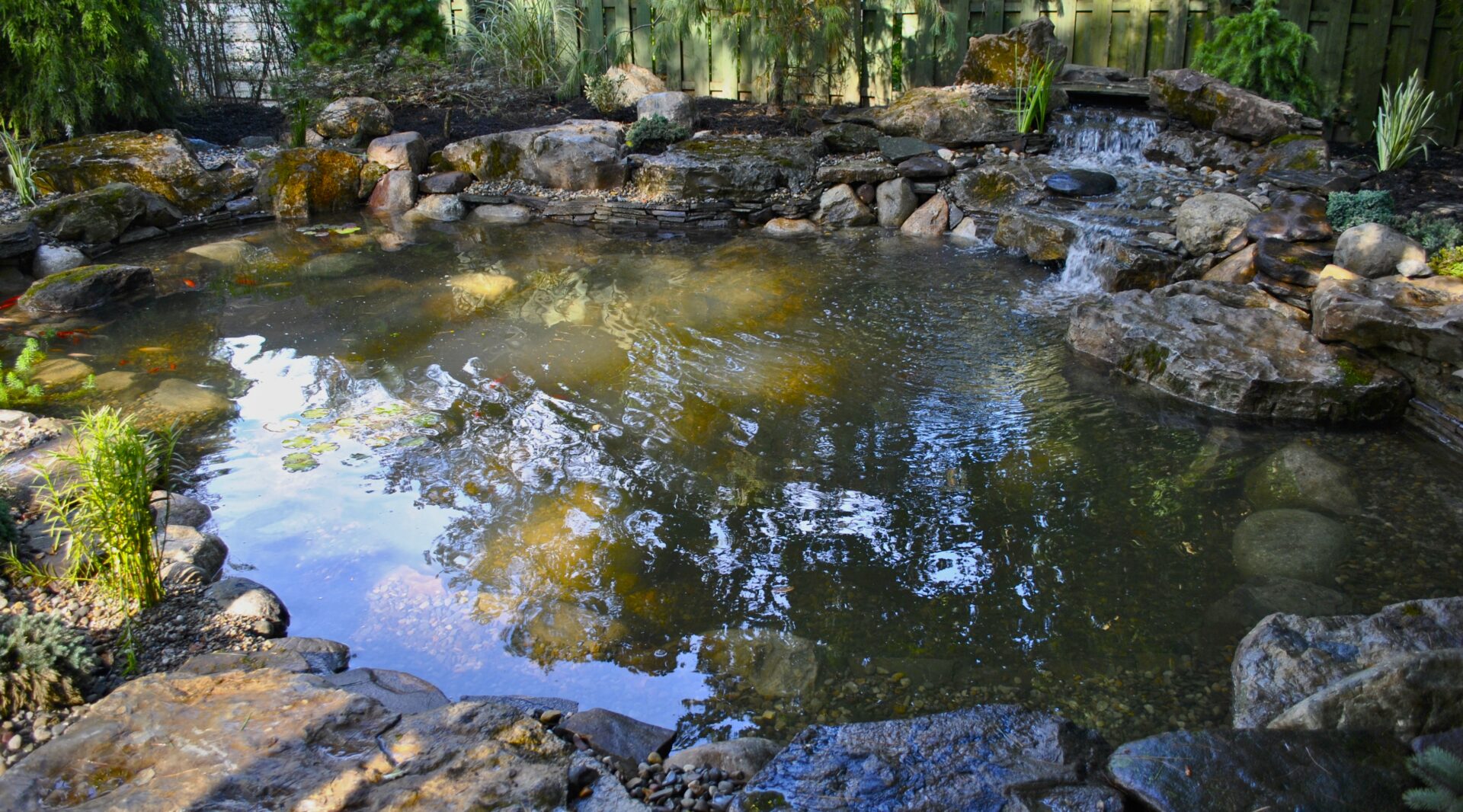 A backyard pond with rocks, aquatic plants, and small waterfalls surrounded by a wooden fence and trees.