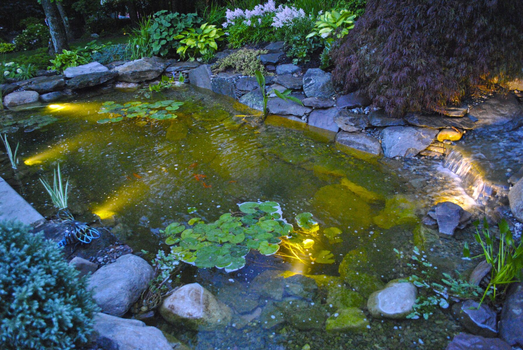 A garden pond with lily pads and rocks, illuminated by underwater lights, bordered by plants and a small waterfall.