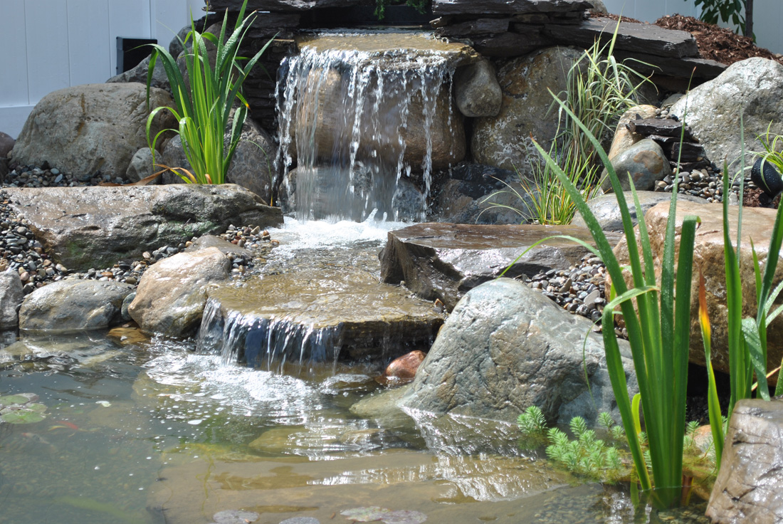 Small waterfall flows over rocks into a pond surrounded by greenery and aquatic plants.