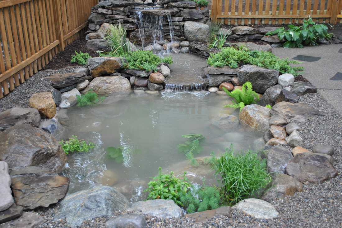 A small backyard pond with rocks, green plants, and a waterfall, surrounded by a wooden fence.