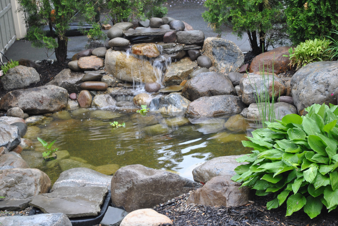 Small backyard pond with a stone waterfall feature, surrounded by rocks, green plants, and shrubs.