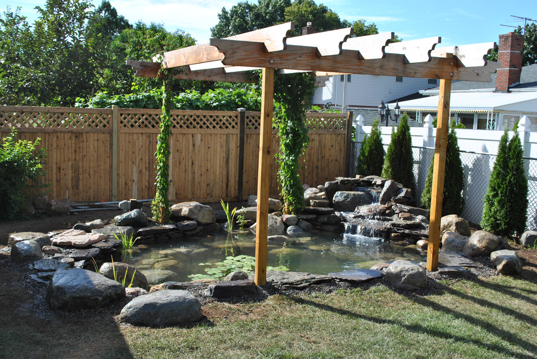 A backyard pond with rocks, aquatic plants, a small waterfall, and a wooden pergola, bordered by a wooden fence.