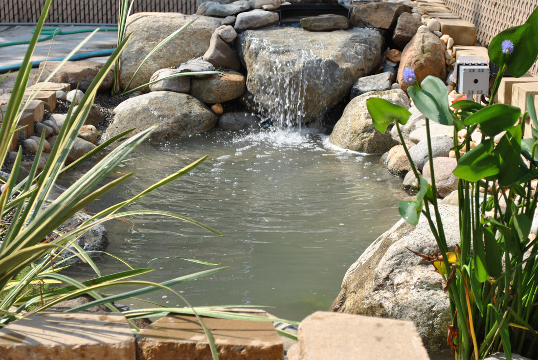 Small backyard pond with a waterfall feature, surrounded by rocks and plants, with clear water flowing into the pool.