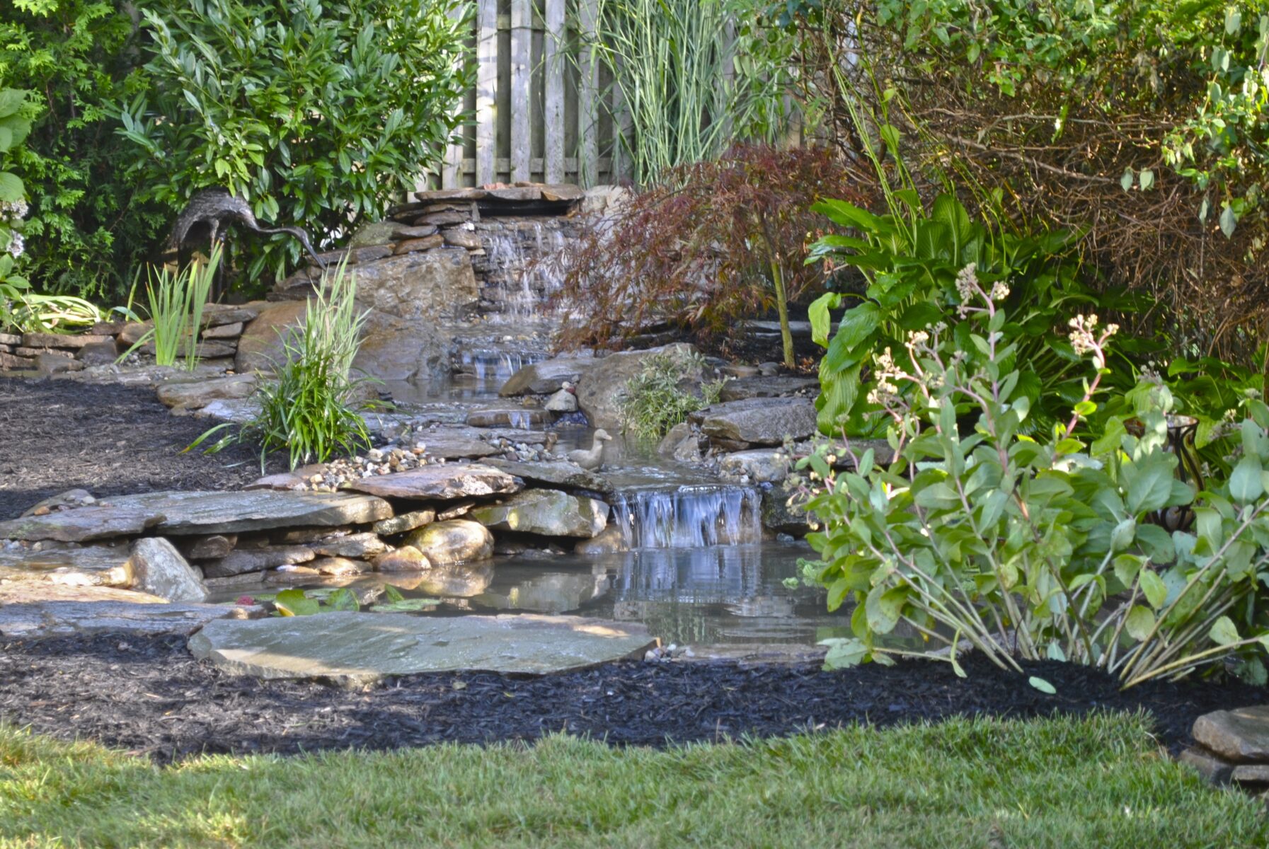 Small backyard pond with a stone waterfall feature surrounded by lush green plants and mulch.