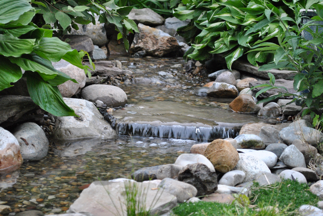 A small stream flows over rocks surrounded by green plants and foliage in a garden setting.