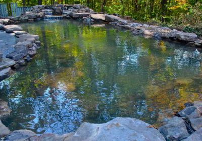 A natural-looking backyard pond with clear water, surrounded by rocks and trees in the background.