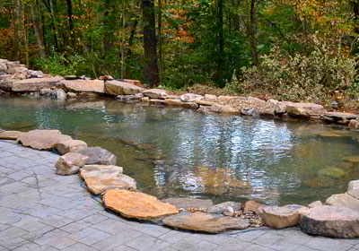 Backyard natural swimming pool with stone border, clear water, and surrounding trees and paved patio area.
