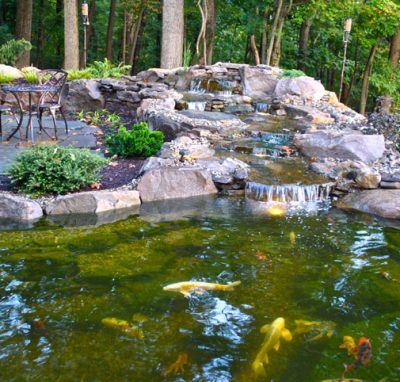 A koi pond with a small waterfall, surrounded by rocks, plants, and a patio table with two chairs in a wooded area.
