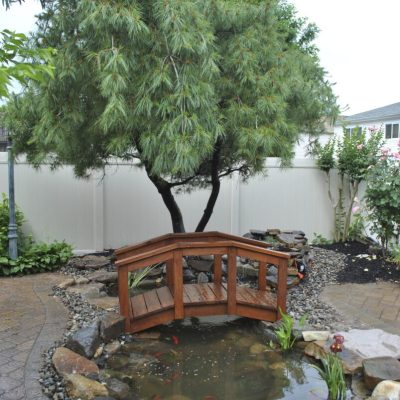 A small wooden bridge crosses a backyard koi pond surrounded by rocks, plants, and a large evergreen tree.