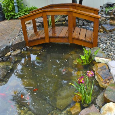 Small wooden bridge over a backyard pond with rocks, aquatic plants, and visible goldfish in the water.