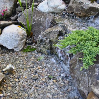 A small waterfall flows over rocks into a pebble stream, surrounded by green plants and a light fixture lies in the water.
