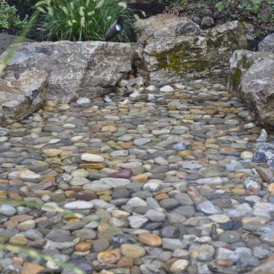 A shallow stone pond with clear water, bordered by rocks, grass, and pink flowers against a stone wall.