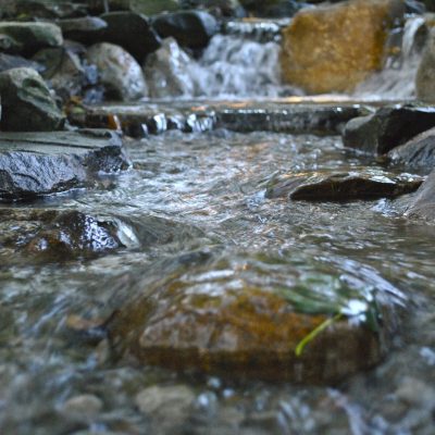 Clear stream water flows over rocks and stones, with a small waterfall in the background.