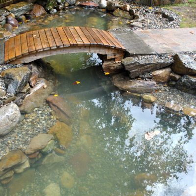 A small wooden bridge spans a pond with rocks and gravel, surrounded by natural landscaping in a backyard.