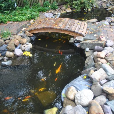 A small wooden bridge spans a koi pond surrounded by rocks and plants in a landscaped garden.