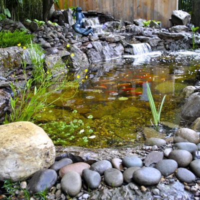 A small pond with koi fish, surrounded by rocks and plants, with a waterfall and garden statue in the background.