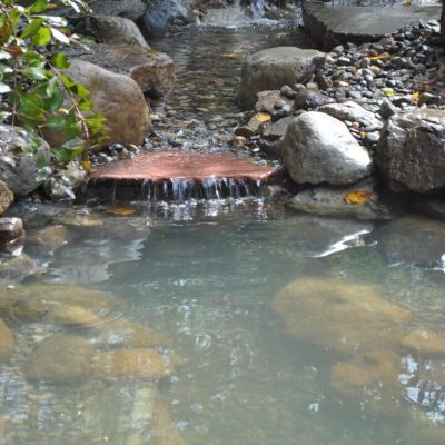 Small stream with gentle waterfalls flows over rocks into a clear pond surrounded by greenery and stones.