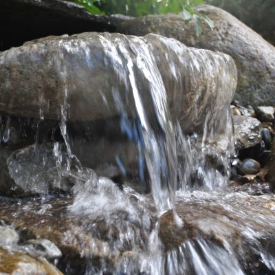 Clear water flows over smooth rocks in a small waterfall surrounded by stones and some yellow flowers in the background.
