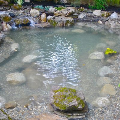 A small backyard pond with clear water, surrounded by rocks and plants, featuring a gentle waterfall.