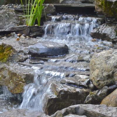 Small waterfall flows over rocks surrounded by moss and plants in a natural, landscaped garden setting.