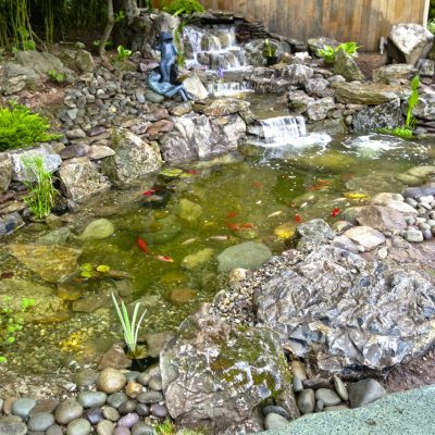 A small decorative pond with koi fish, rocks, a waterfall feature, and a mermaid statue in a landscaped garden.