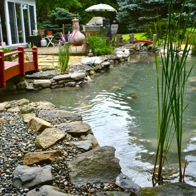 A backyard pond with a red footbridge, rocks, tall plants, and patio furniture in a green garden setting.