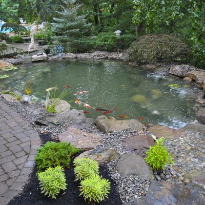 A backyard pond with koi fish, surrounded by rocks, plants, and a stone path in a garden setting.