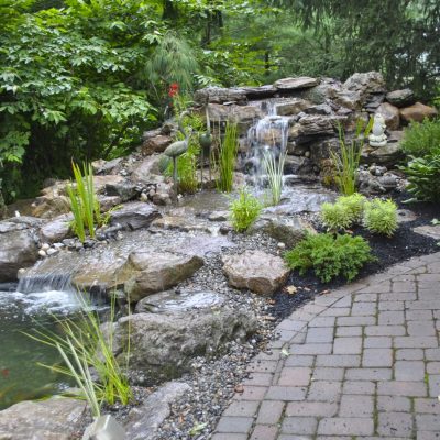 Small waterfall flowing into a pond next to a curved stone path, surrounded by plants and a dolphin statue.