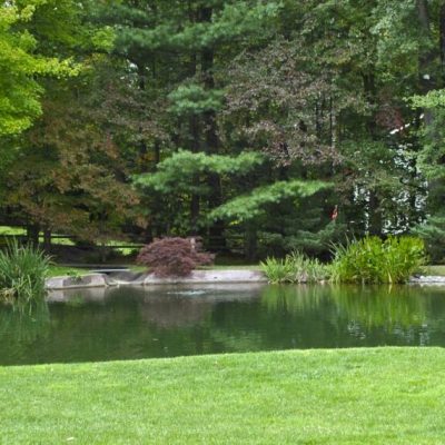 A small, clear pond bordered by grass with trees and shrubs in the background.