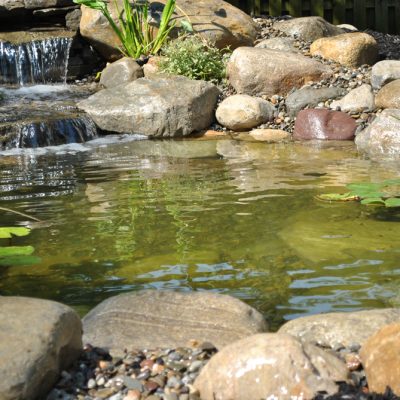 A small garden pond with clear water, rocks, a waterfall, lily pads, and aquatic plants.